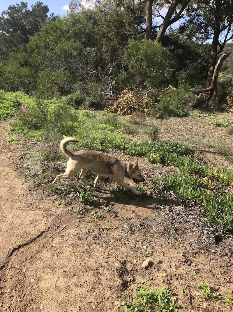 Grape Street Dog Park photo 3