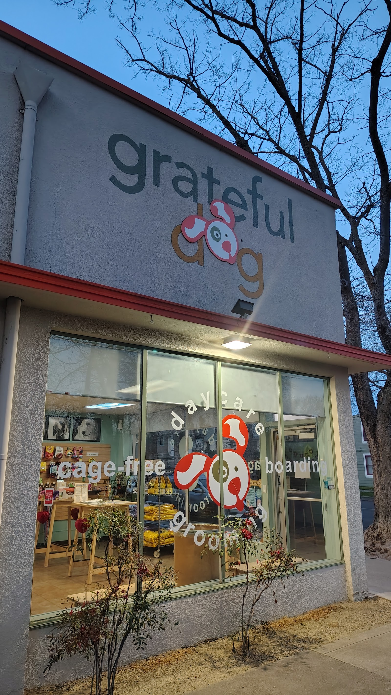 Grateful Dog Daycare