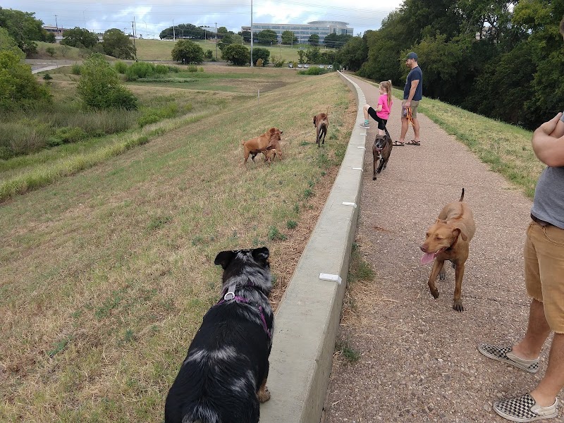 Great Northern Dog Park photo 3