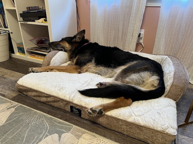 Great Outdogs photo 3