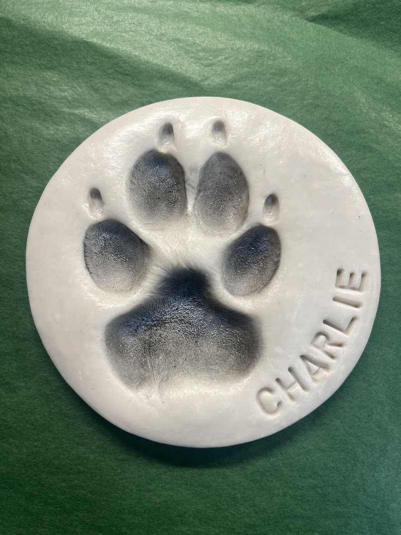 Green Heart Pet Water Cremation photo 2