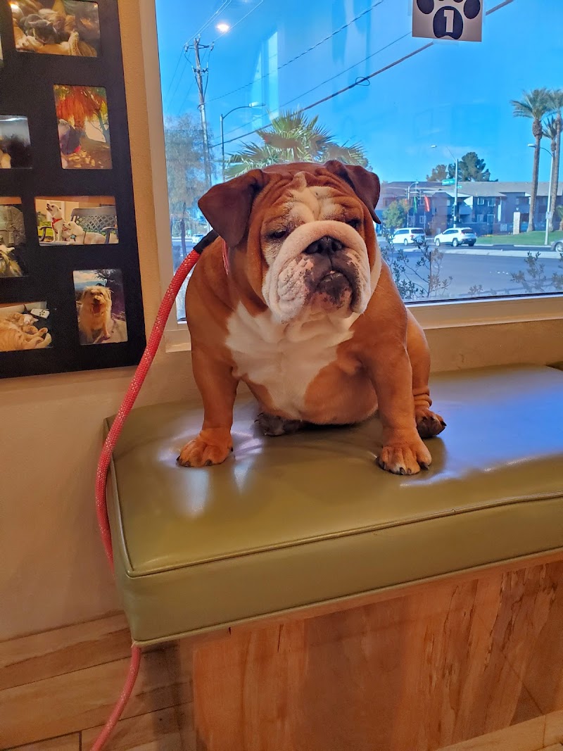 Green Valley Animal Hospital