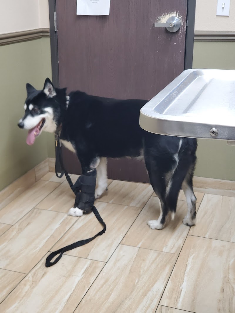 Green Valley Animal Hospital photo 3