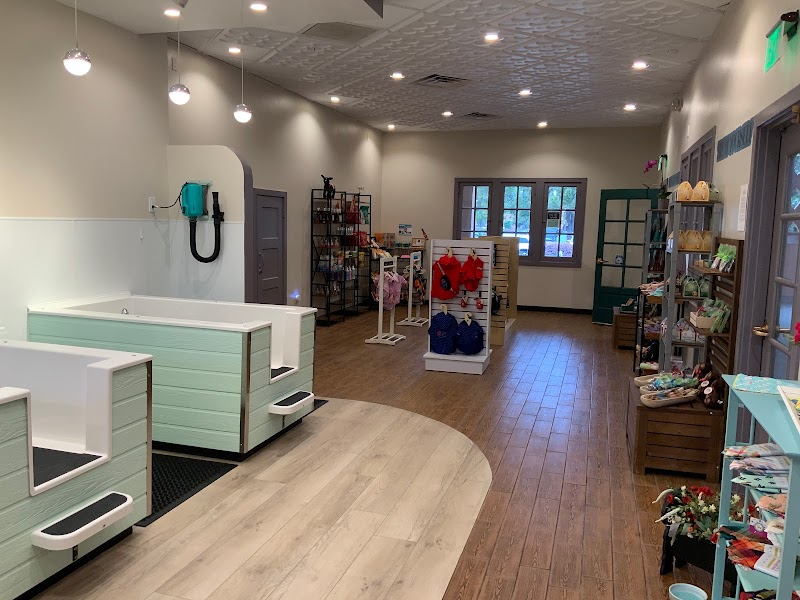 Groomer19 & Friends Pet Salon photo 3