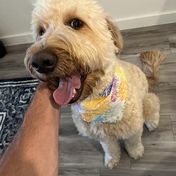 Groomingdale's of Austin