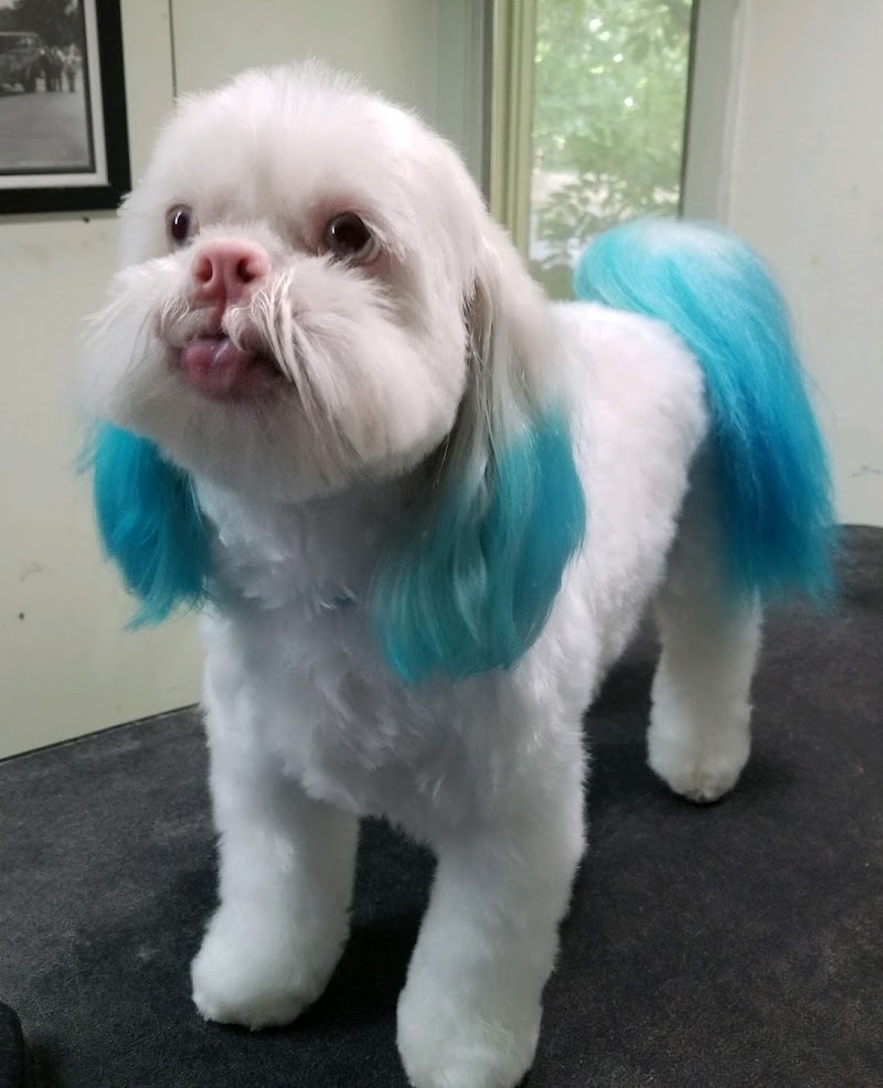 Groomingdale's of Austin photo 3