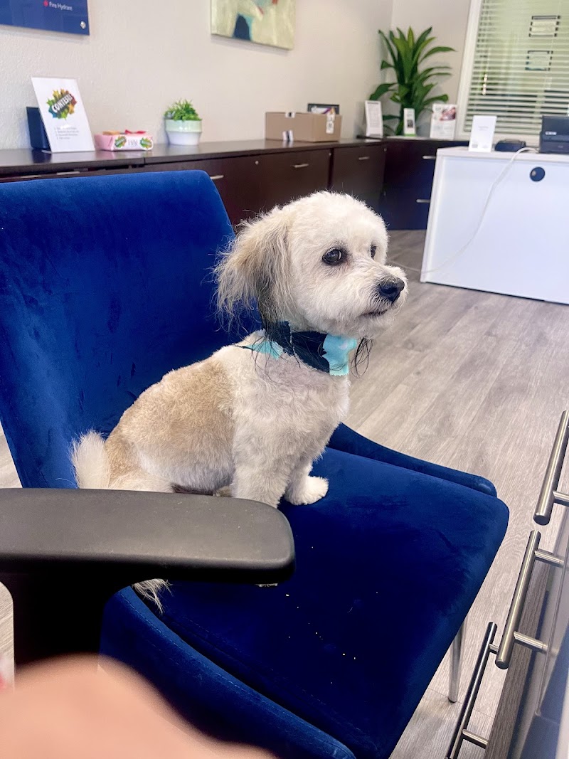 Hair Of The Dog Grooming Salon