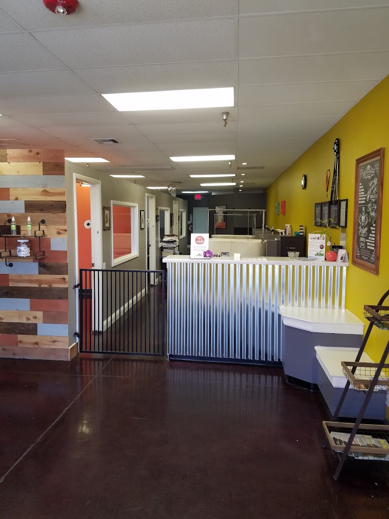 Hair Of The Dog Grooming Salon photo 3