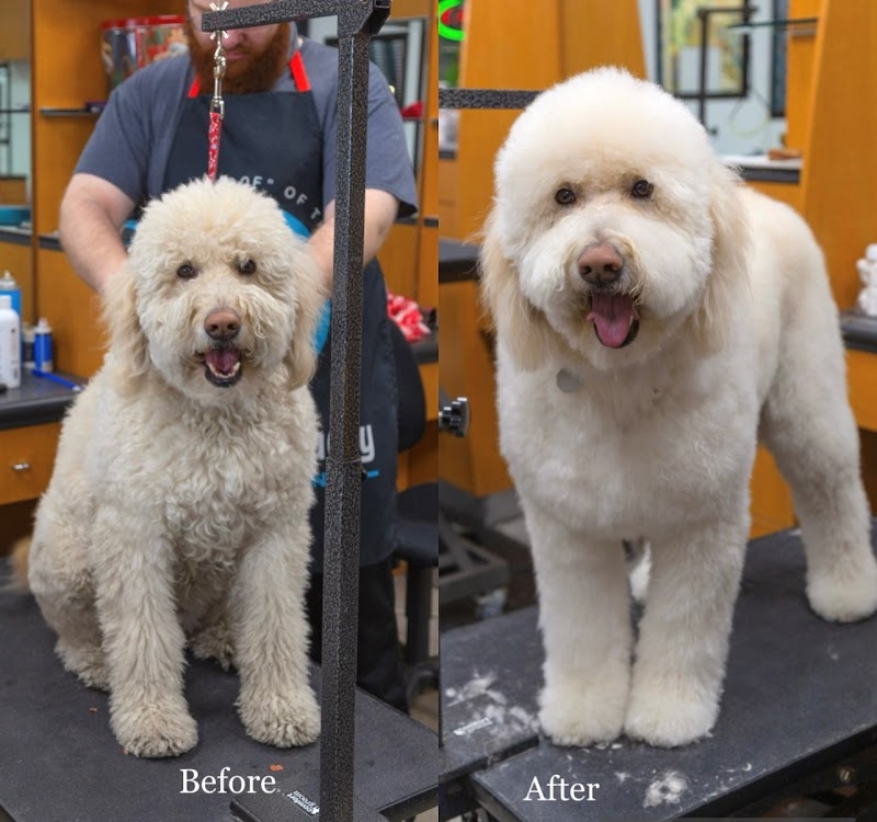 Happy And Lucky Pet Salon And Mobile Grooming. photo 3