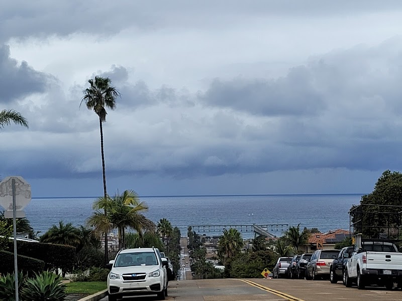 Happy Dog Happy Owner photo 2