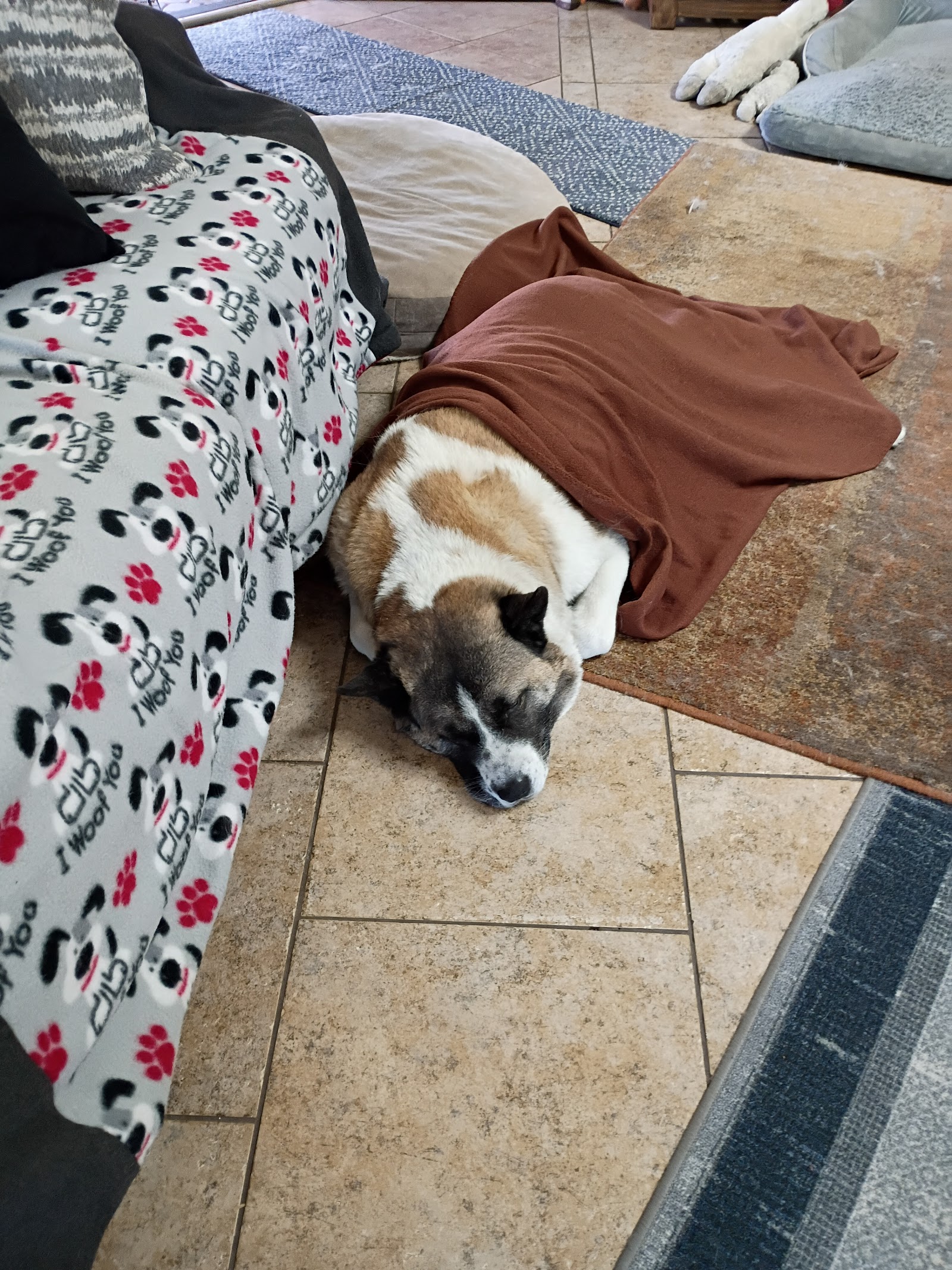Happy Endings In Home Pet Euthanasia