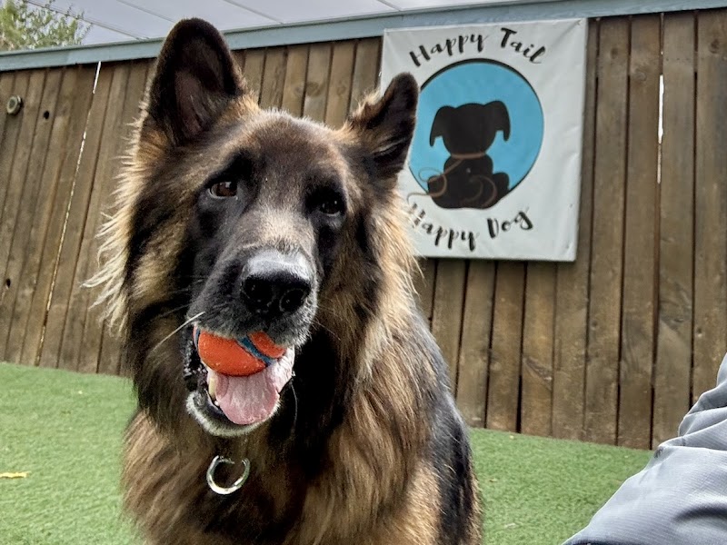 Happy Tail Happy Dog | Dog Daycare, Boarding & Grooming