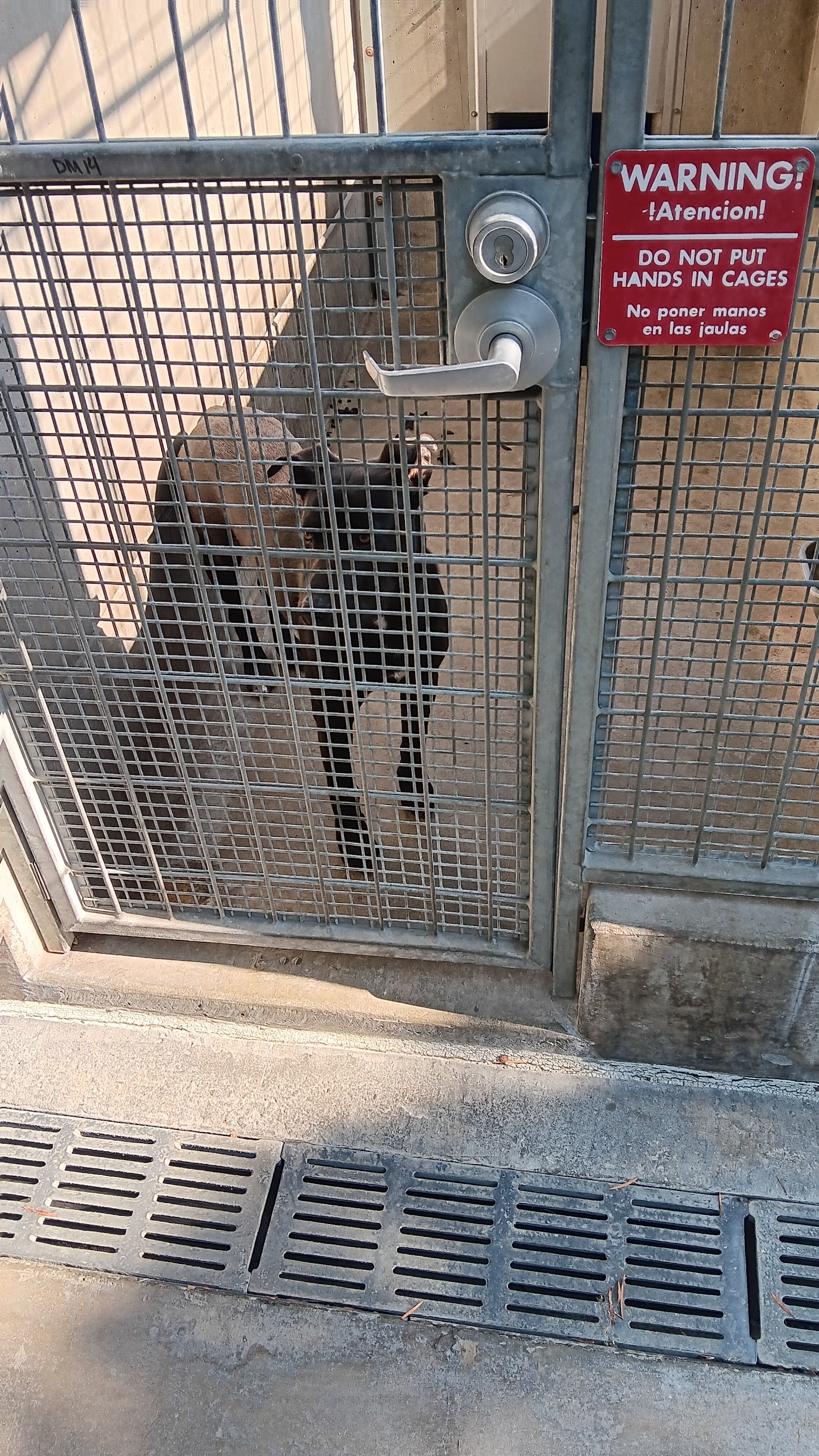 Harbor Animal Care Center