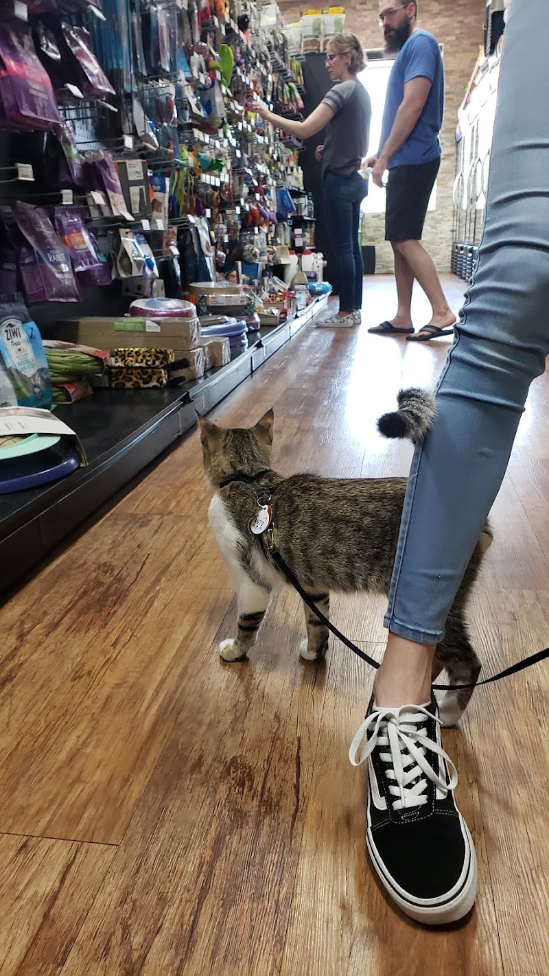 Healthy Pet - Arbor Trails photo 3