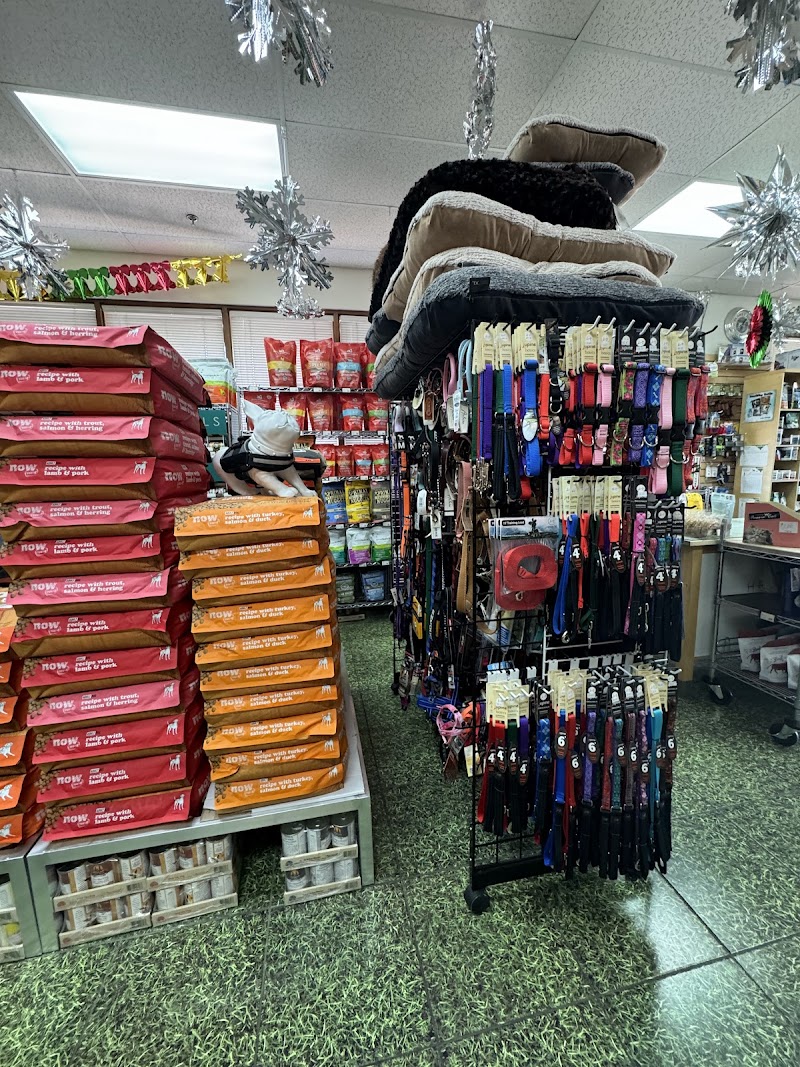 Healthy Tails LV photo 3