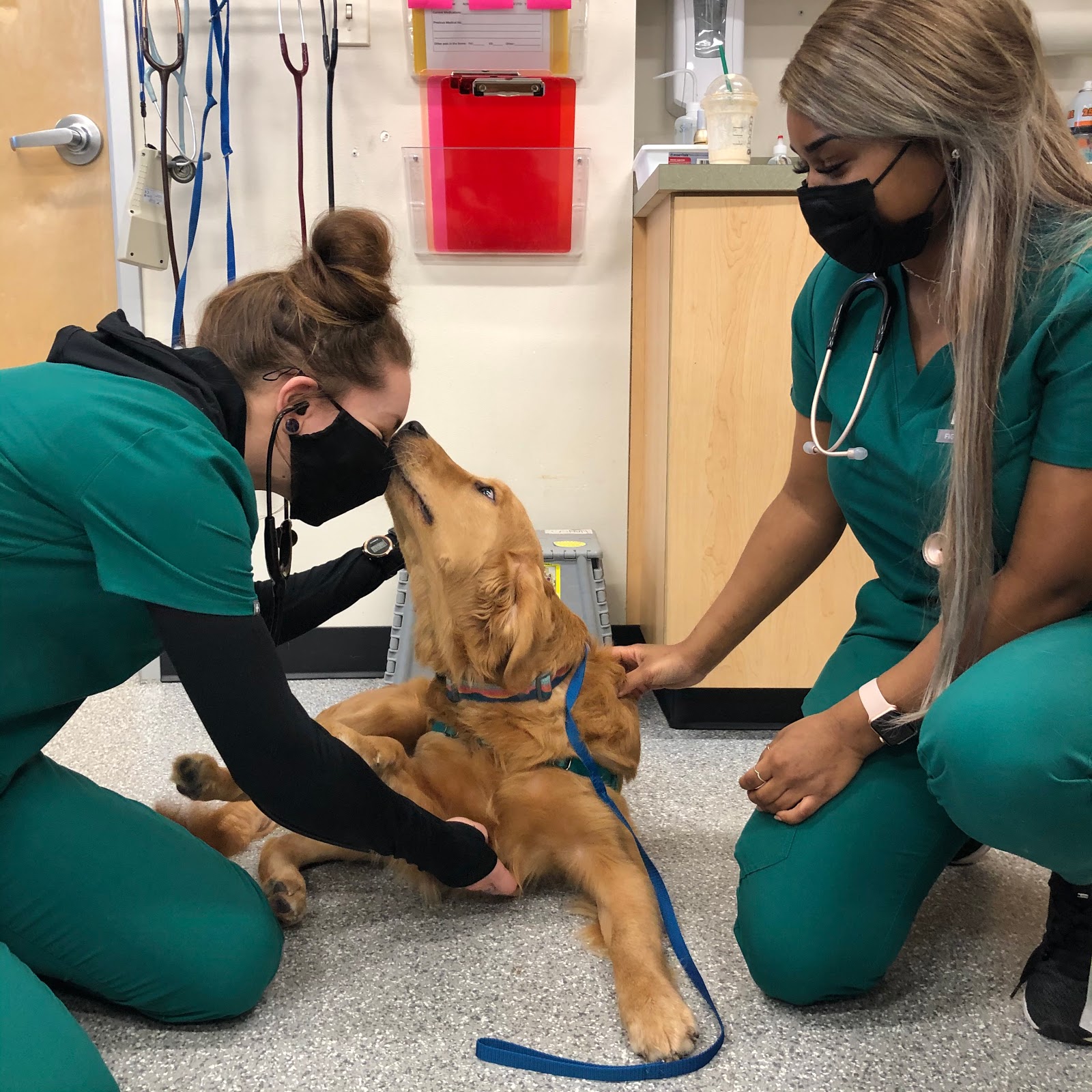 Heart and Soul Animal Urgent Care