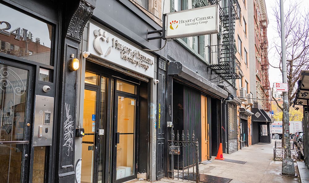 Heart of Chelsea Veterinary Group - Lower East Side