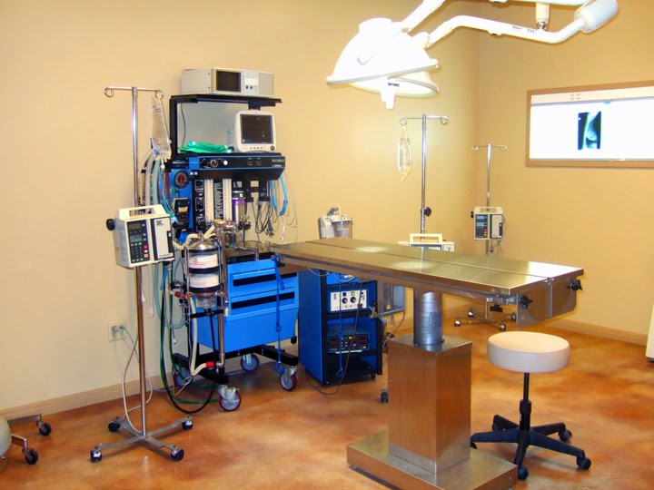 Heart of Texas Veterinary Specialty Center photo 2