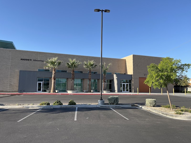 Heaven Can Wait Animal Society Spay & Neuter Clinic photo 3