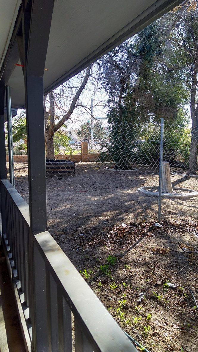 HELP (Save Pets And People) photo 2