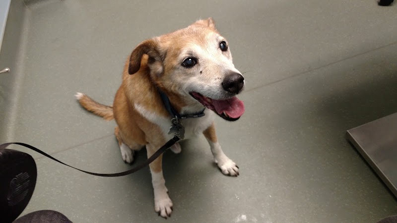 Highlands Animal Clinic photo 3