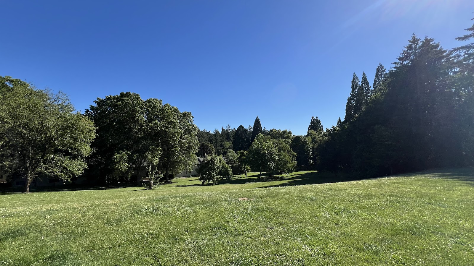 Hillsdale City Park
