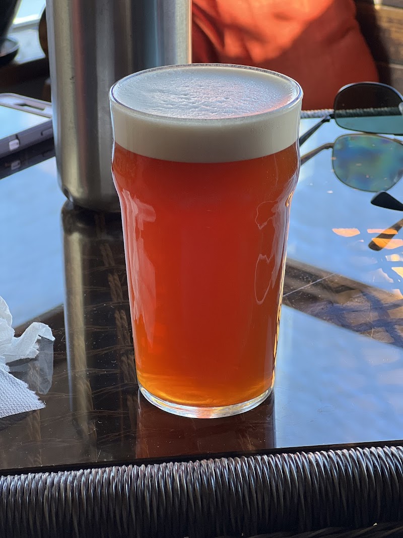 Hogshead Brewery photo 2