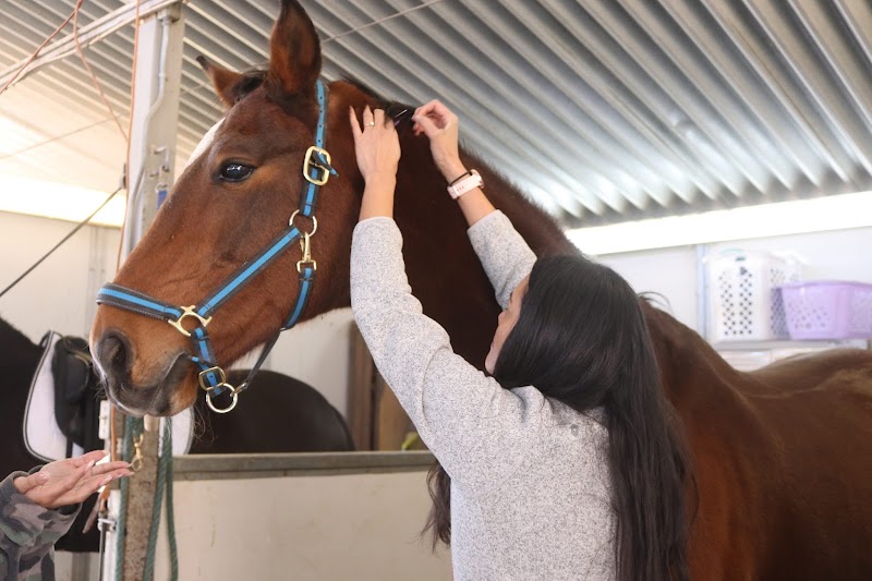 Holiystic Vet photo 2