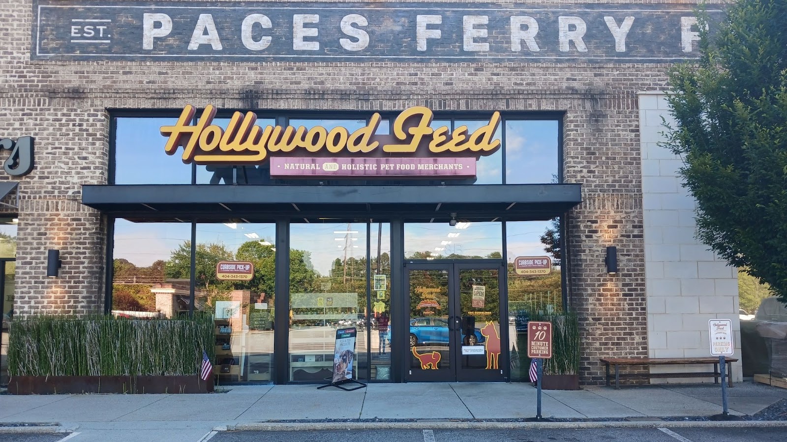 Hollywood Feed