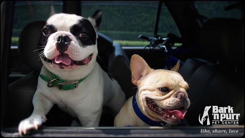 Hollywood Feed photo 2