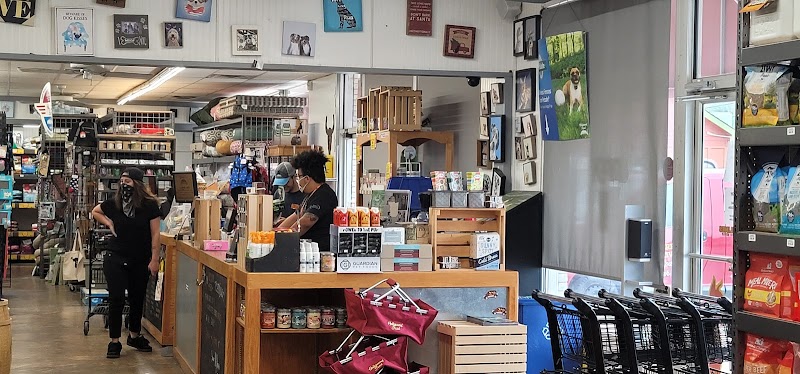 Hollywood Feed photo 3