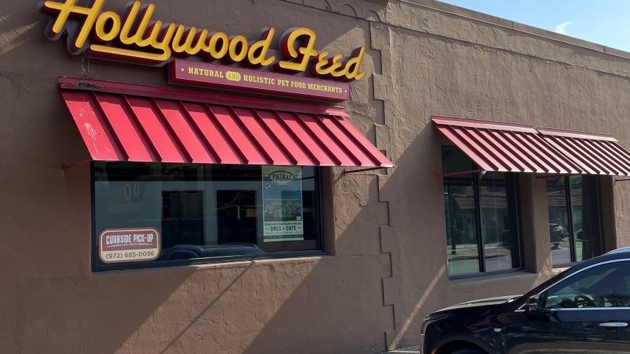 Hollywood Feed