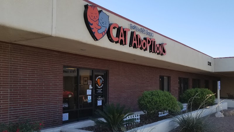 Homeward Bound Cat Adoptions