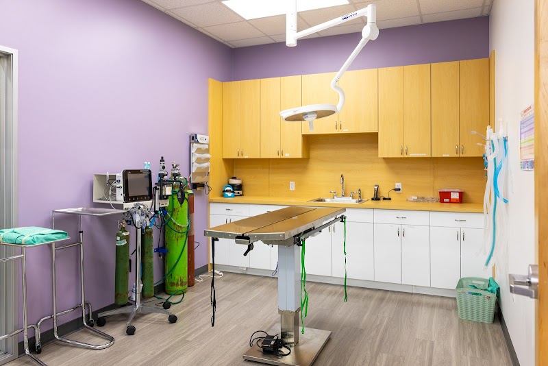 Honnas Veterinary photo 3