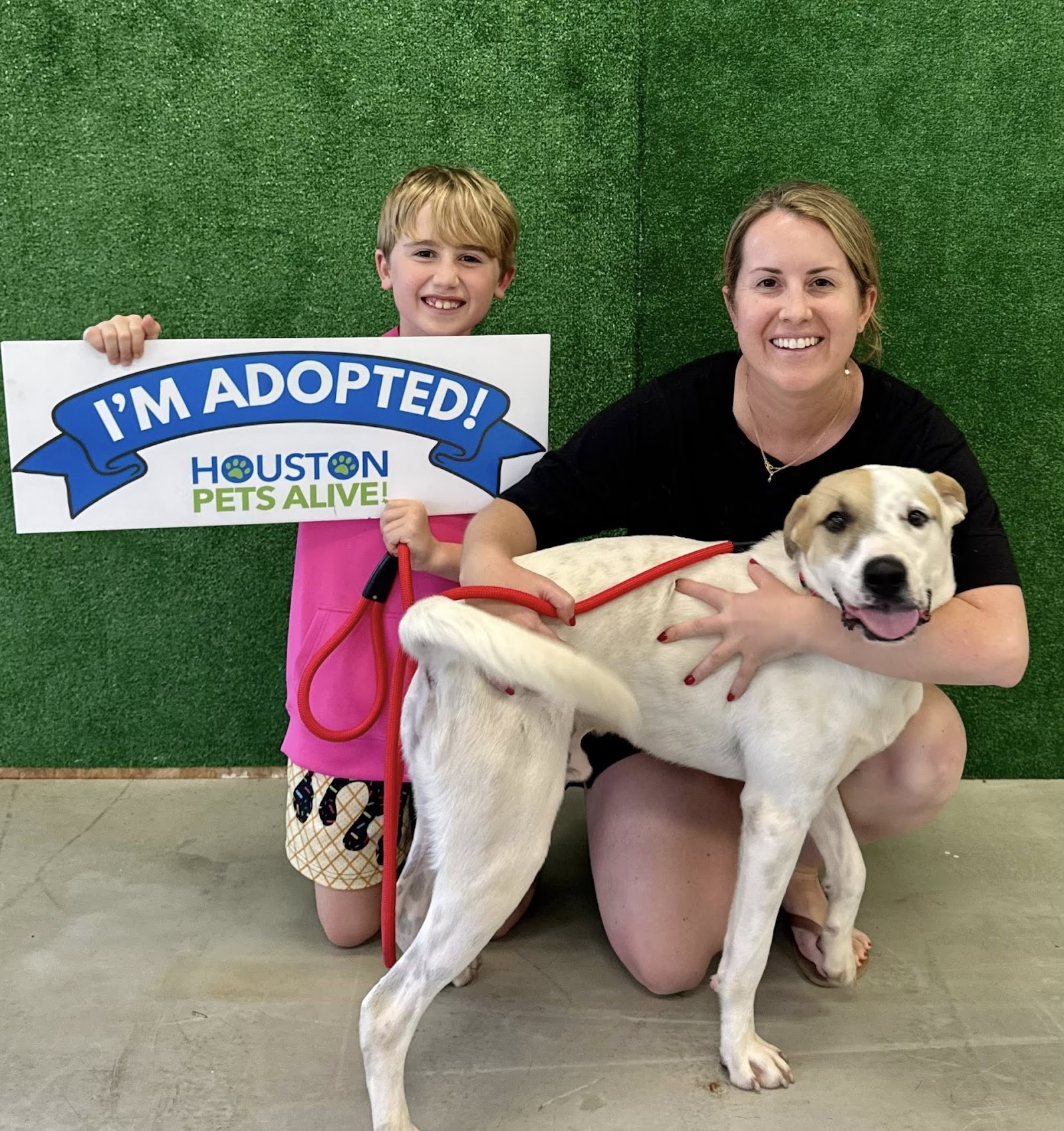 Houston Pets Alive!