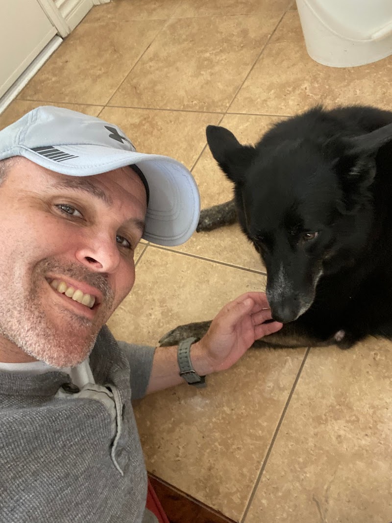 HowiePets dogwalking, petsitting, boarding.