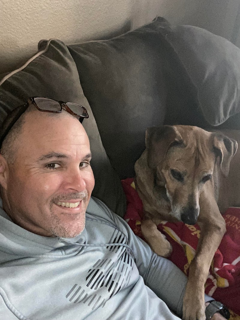 HowiePets dogwalking, petsitting, boarding. photo 2