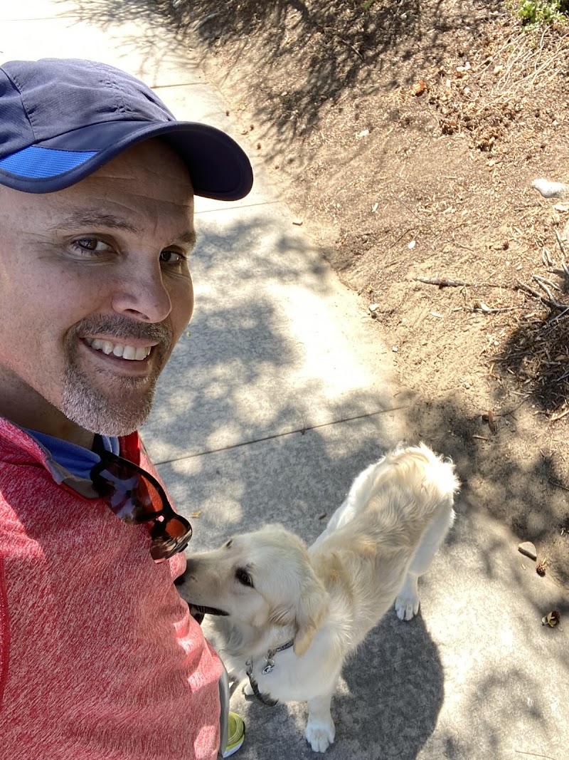 HowiePets dogwalking, petsitting, boarding. photo 3