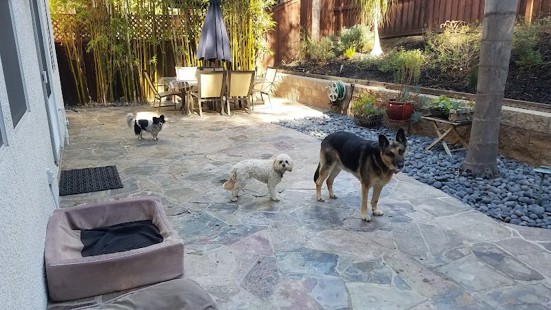 Hugs Pet Sitting photo 3