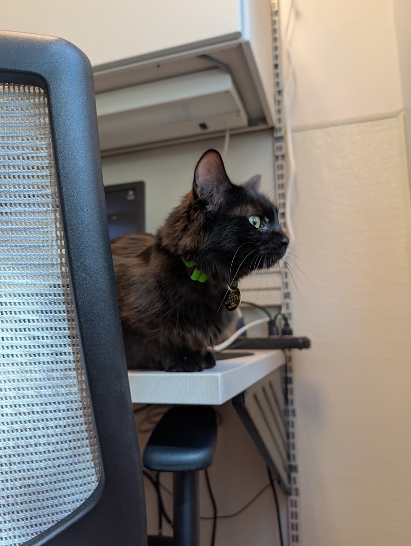 Humane Colorado, formerly Dumb Friends League - Buddy Center