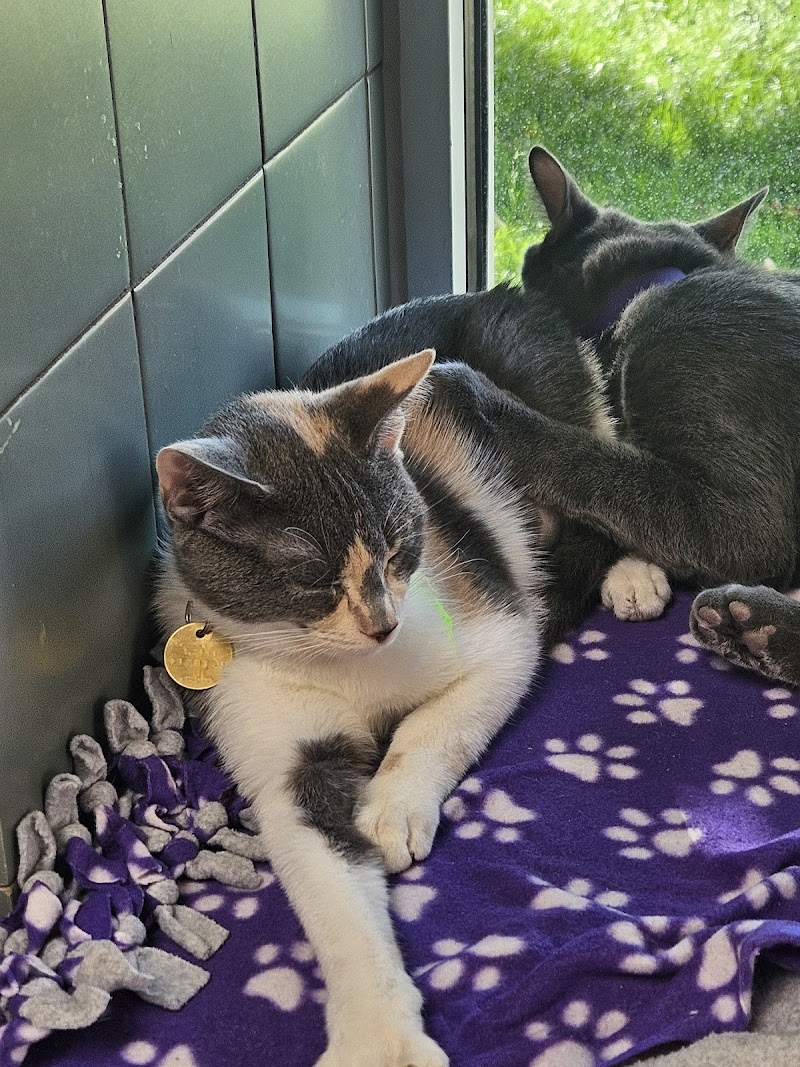 Humane Colorado, formerly Dumb Friends League - Leslie A. Malone Center photo 3