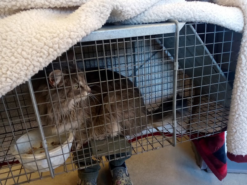 Humane Society Of The South Platte Valley photo 2