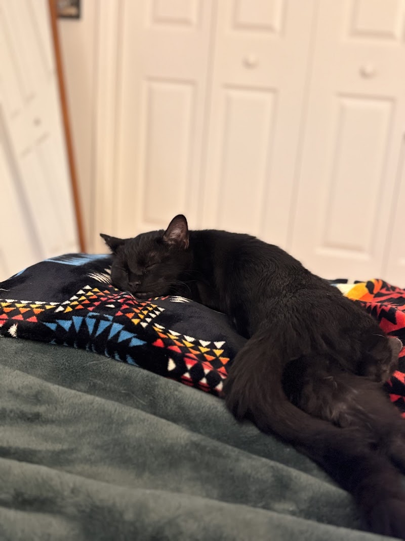 Humane Society Of The South Platte Valley photo 3