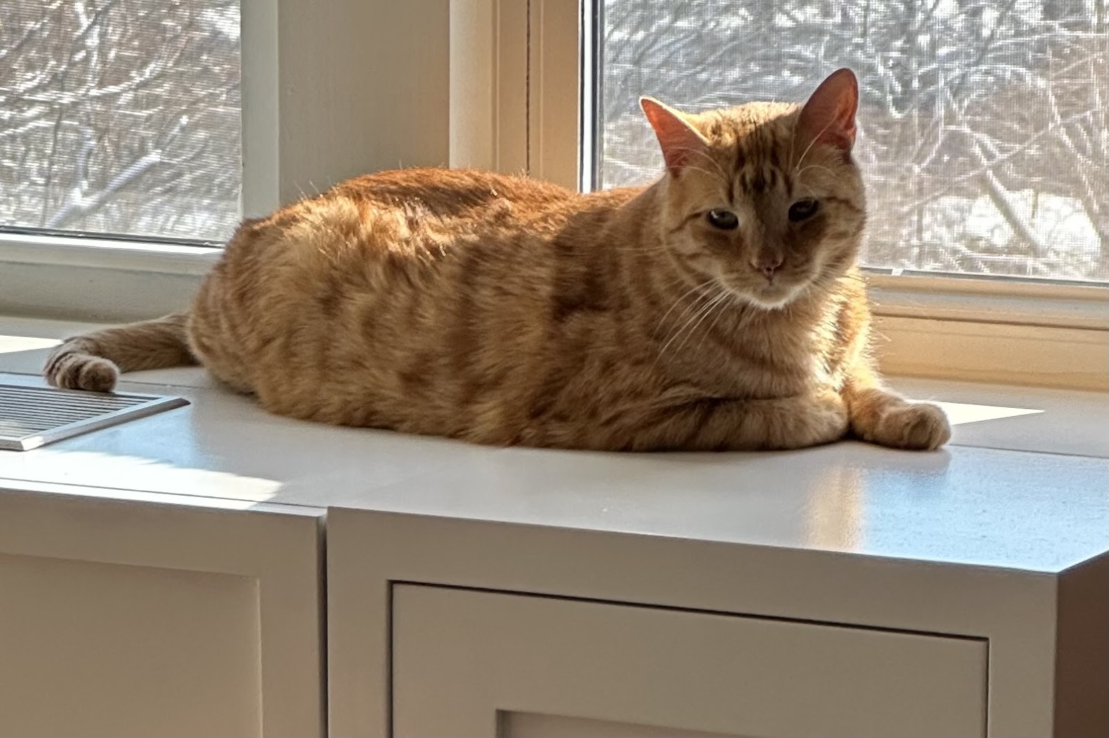 Humane Society of Westchester