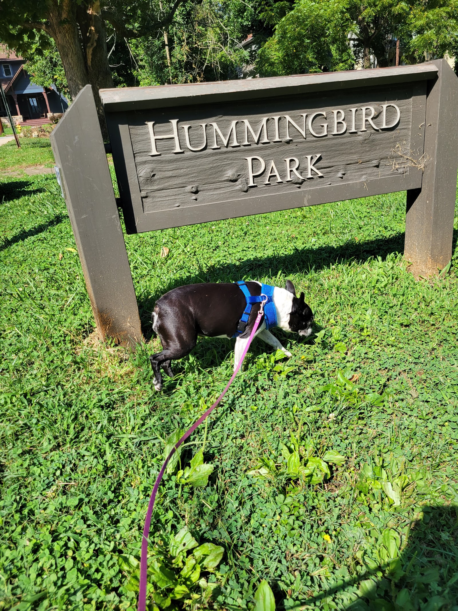 Hummingbird Park