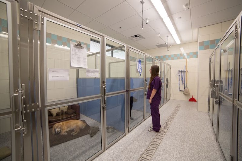 Inspirada Animal Hospital photo 2