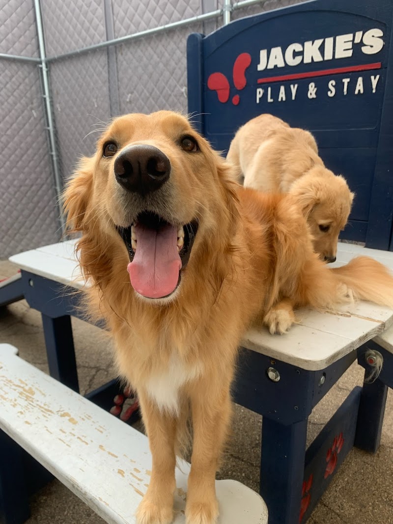 Jackie's Play & Stay photo 2