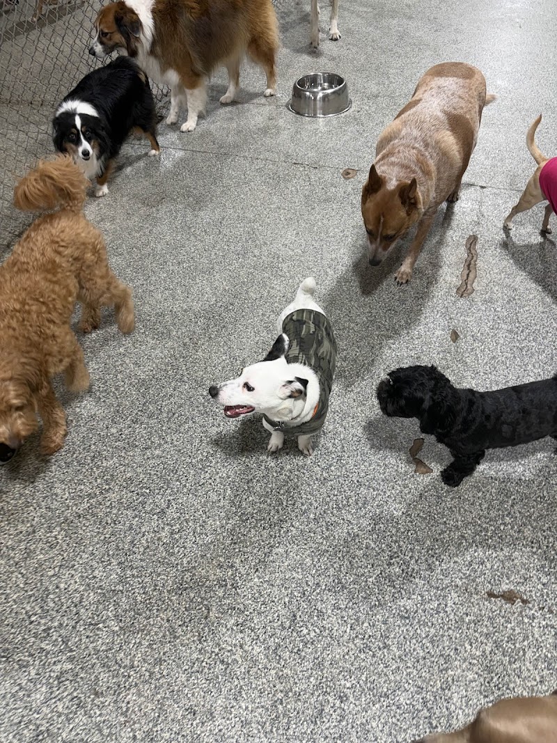 Jackie's Play & Stay photo 3