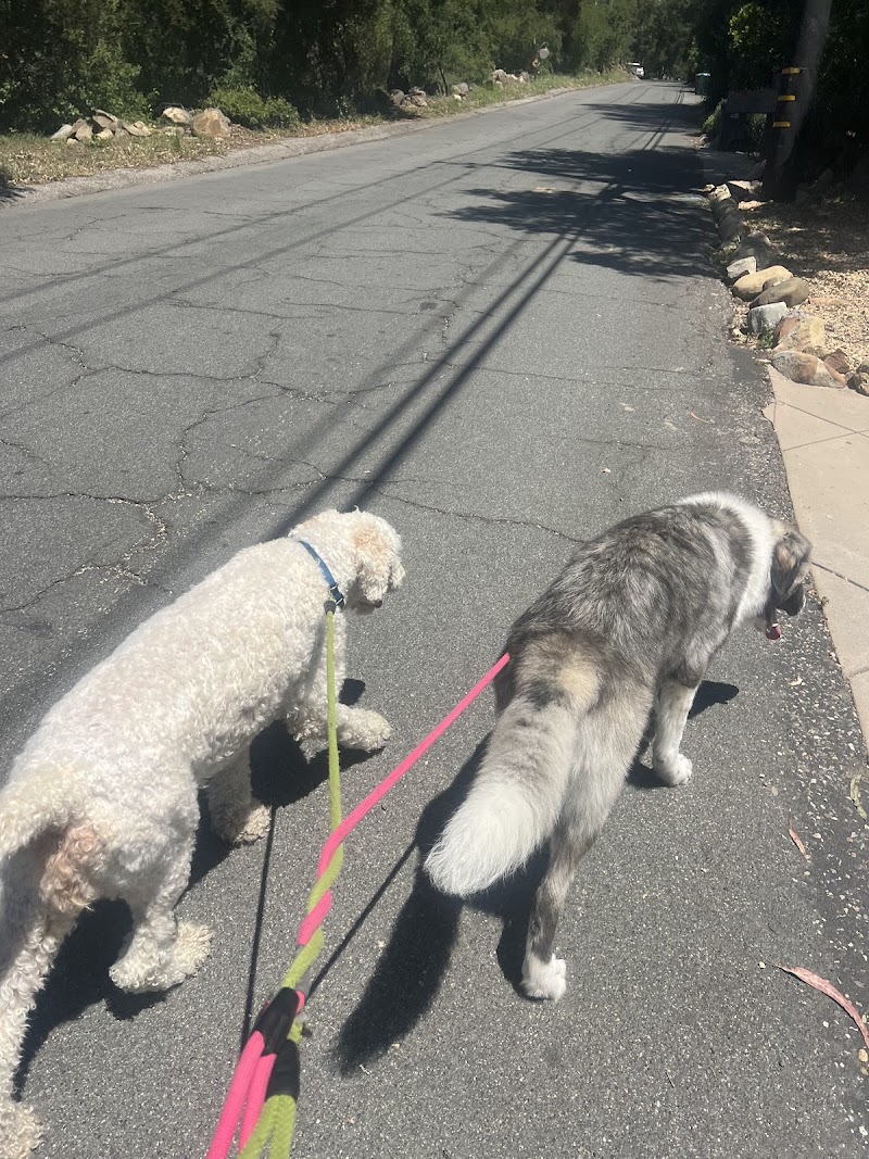 Jen’s Pet Sitting of San Diego photo 2