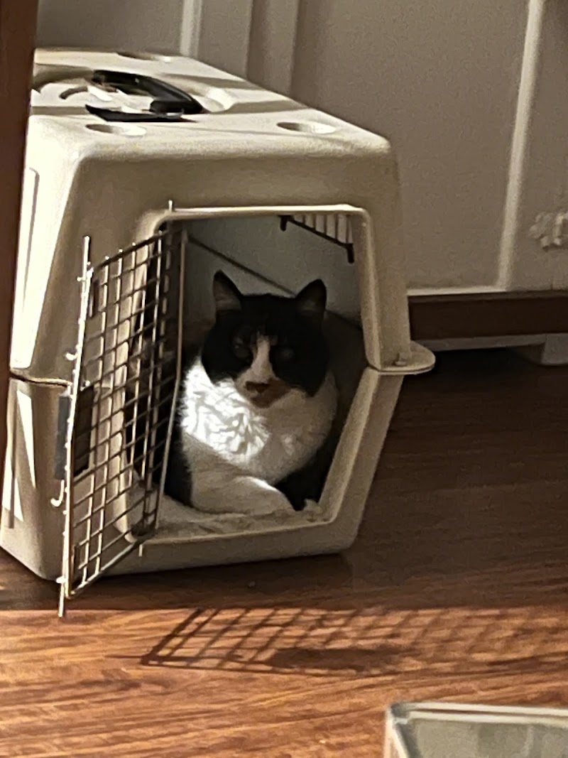 Jen’s Pet Sitting of San Diego photo 3